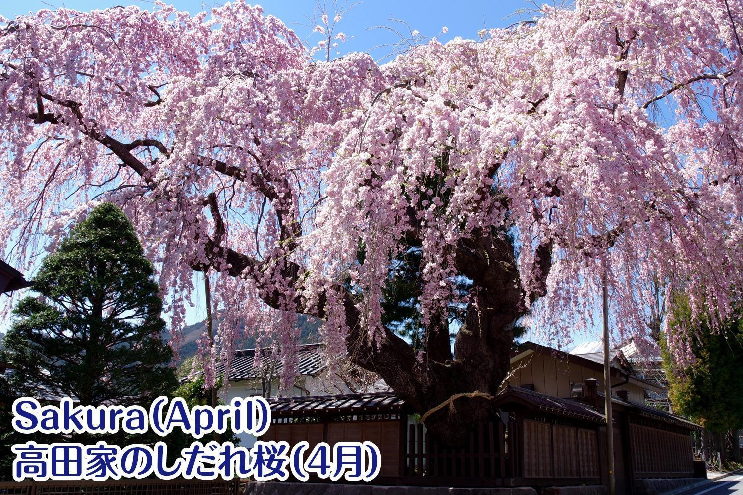 Nikko Stay House Arai - Vacation Stay 14994V Εξωτερικό φωτογραφία